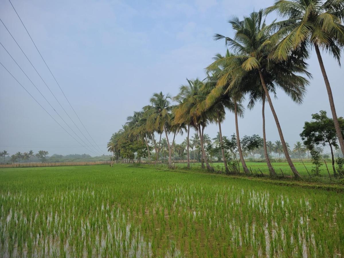Tanjore Home Stay Thanjavur Eksteriør bilde