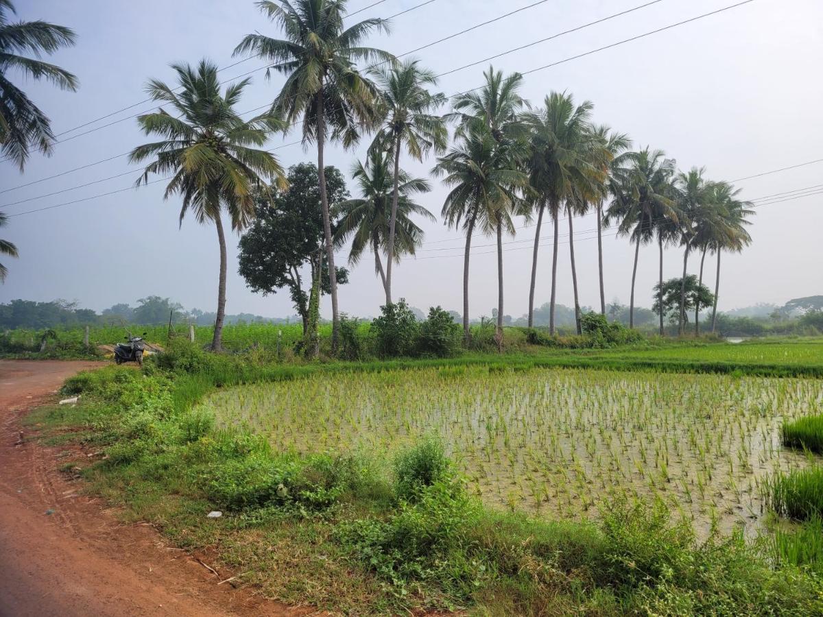 Tanjore Home Stay Thanjavur Eksteriør bilde