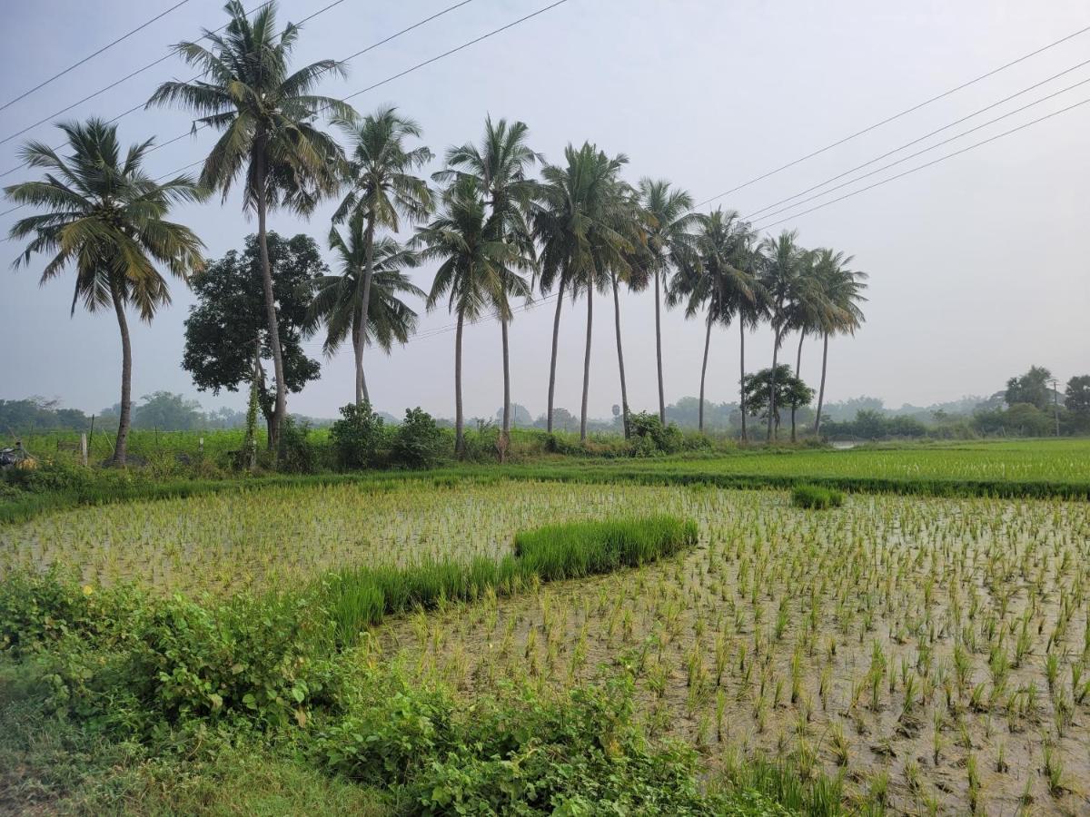 Tanjore Home Stay Thanjavur Eksteriør bilde