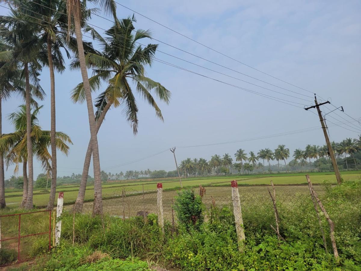 Tanjore Home Stay Thanjavur Eksteriør bilde