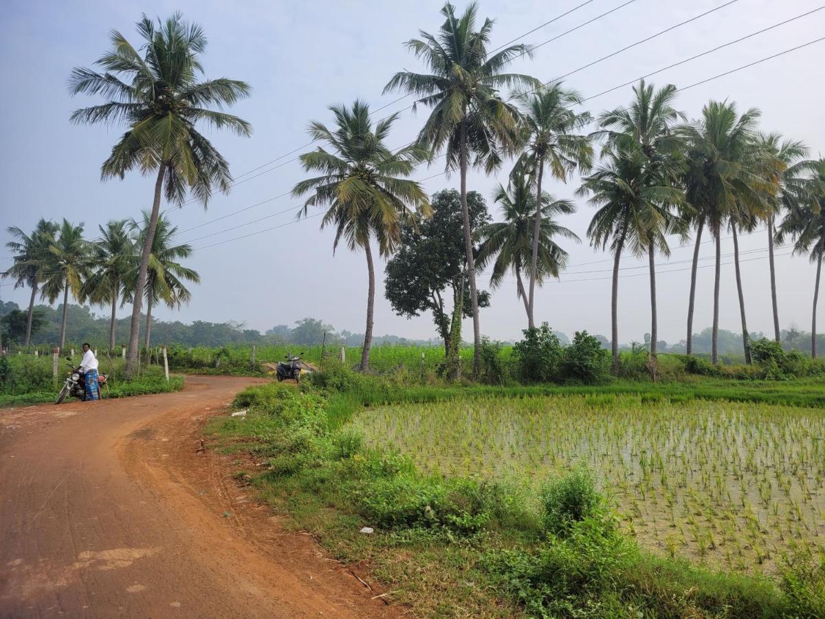 Tanjore Home Stay Thanjavur Eksteriør bilde
